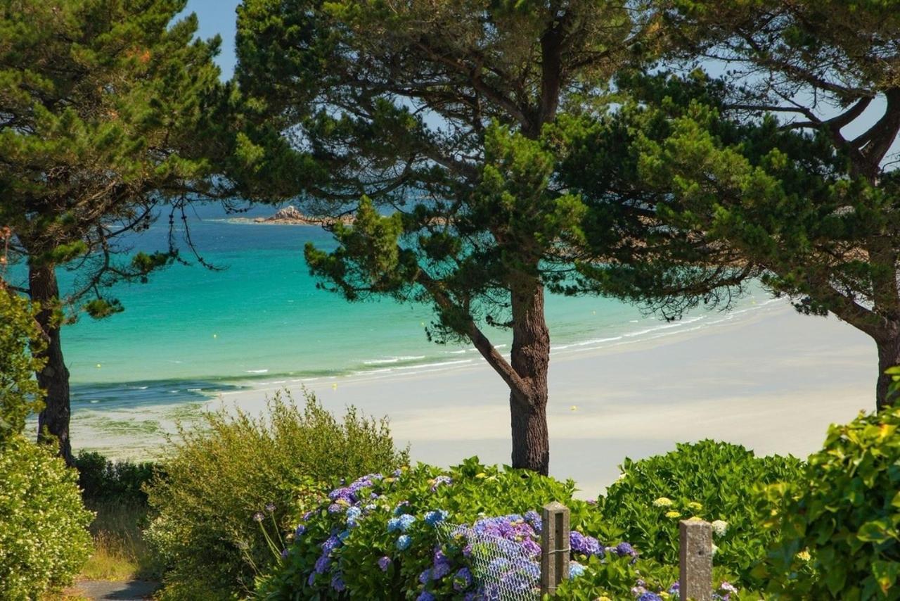 Les Villas D' Onalou Port Blanc Penvenan Bagian luar foto